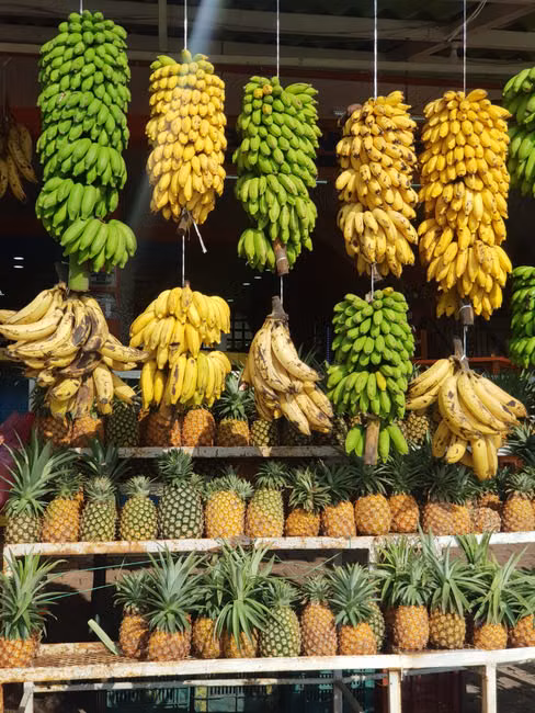 Cebola Nacional (kg)
